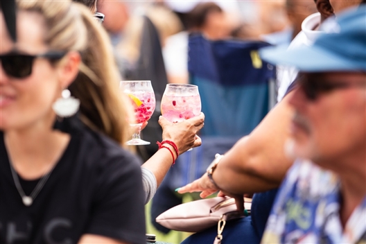 Cape Town Gin and Rum Festival - 2022