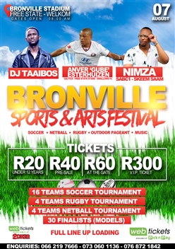 Bronville Sports and Arts Festival