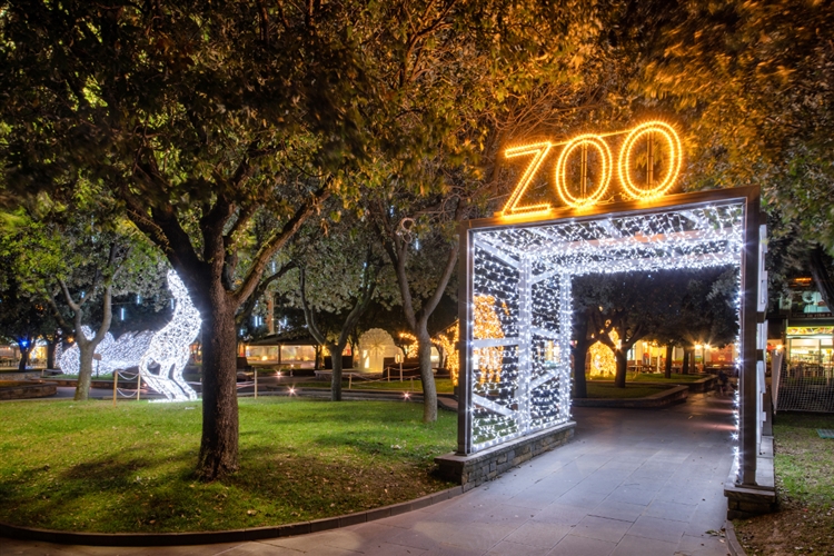  Johannesburg Zoo